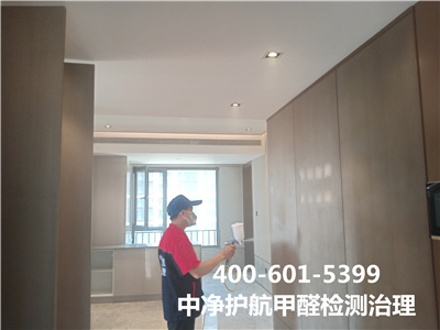 新房养绿植能够齐全吸收装建传染吗